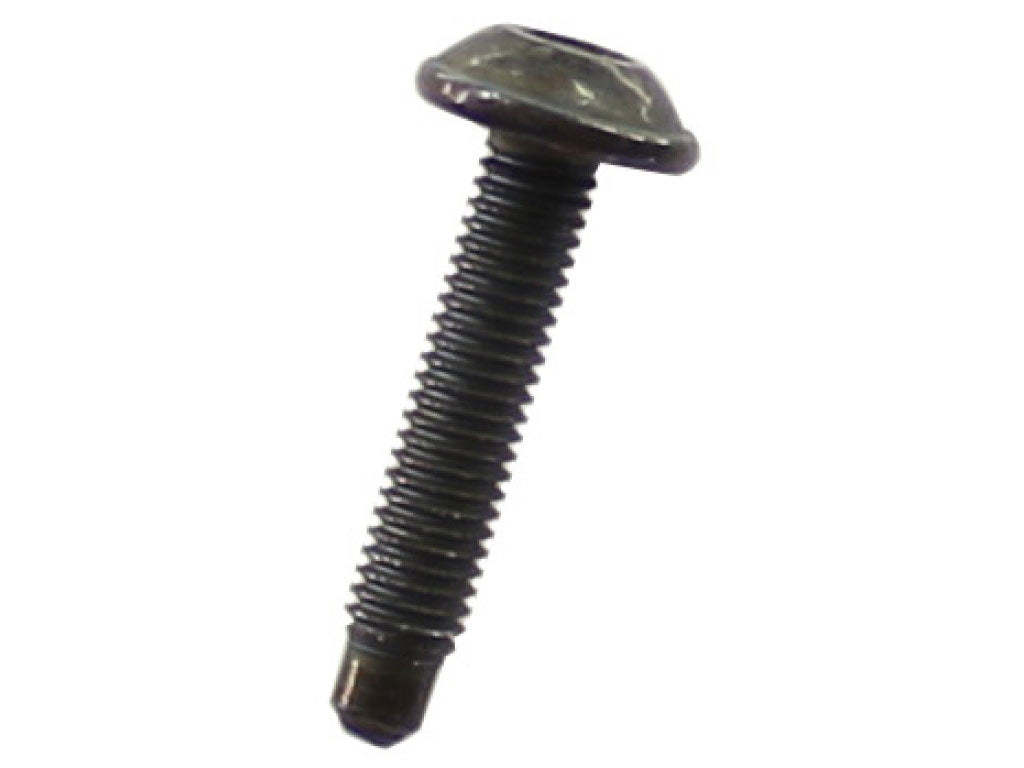 SCREW 5X25