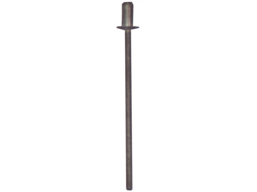 RIVET