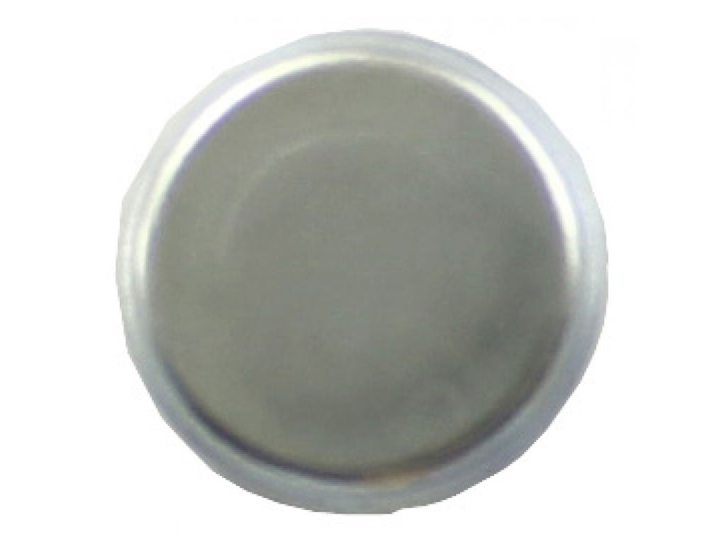 Engine Camshaft Plug 914