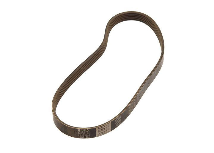 Continental Alternator Drive Belt