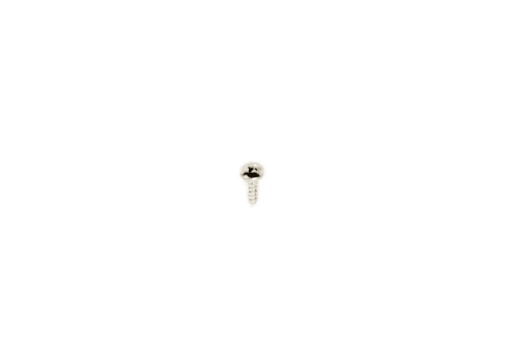 2.9x9.5 oval head Screw
