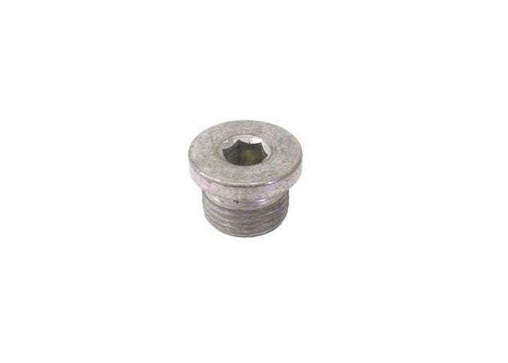 Oil Drain Plug