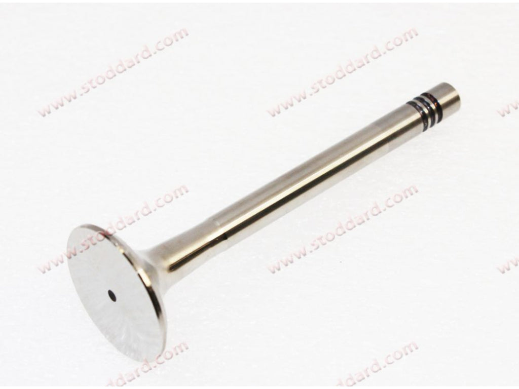 Exhaust Valve, 35mm