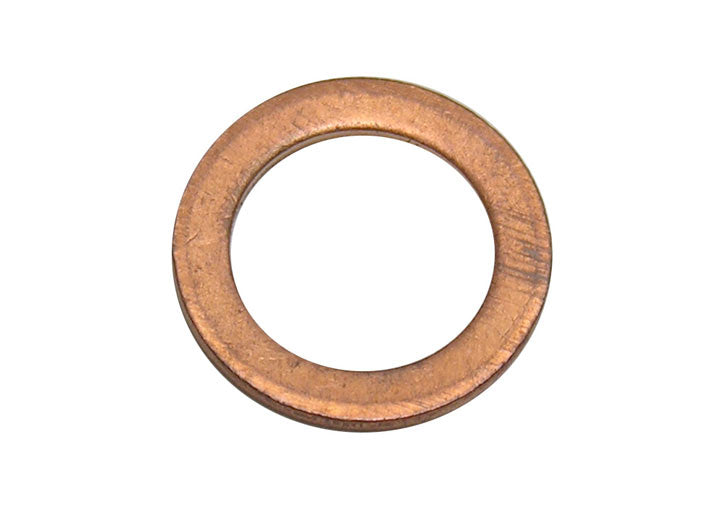 Fuel (Gas) tank strainer seal large 914