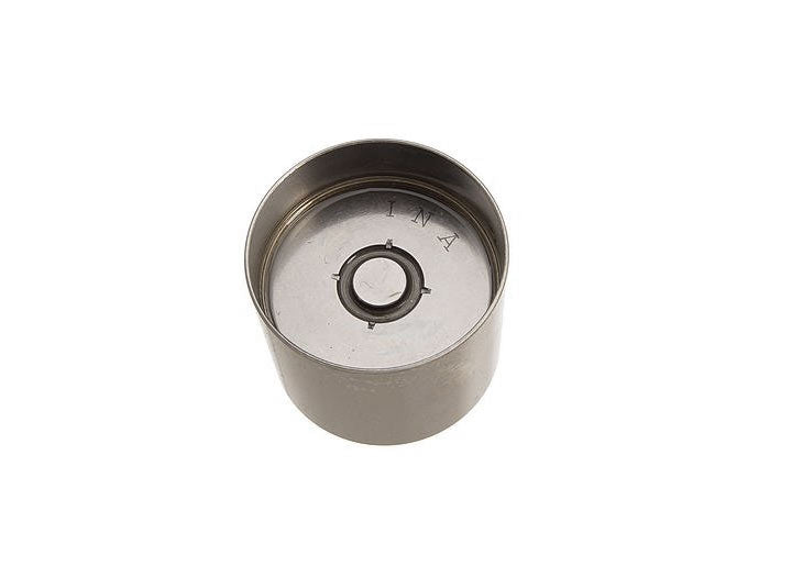 OEM  Cam Follower