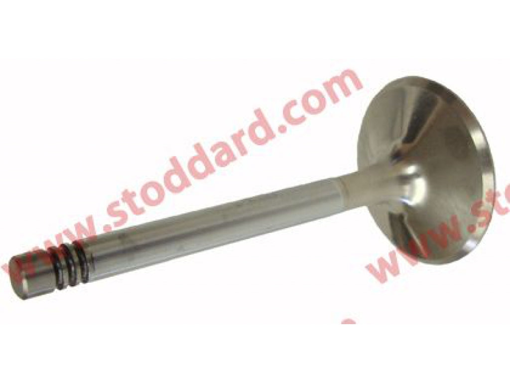 Intake valve, 49mm diameter, manufactures #3073.