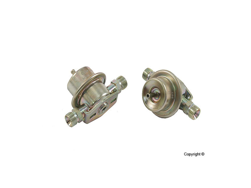 genuine Fuel Injection Pressure Damper