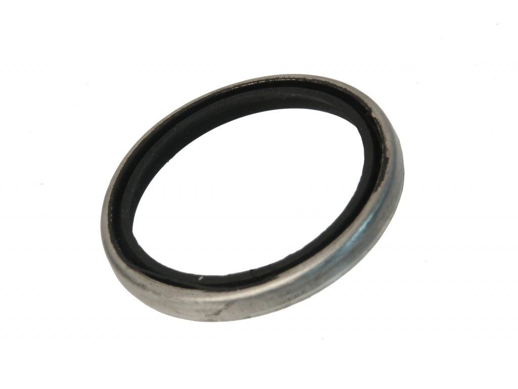 Brake Caliper Piston Scraper Ring (Boot)