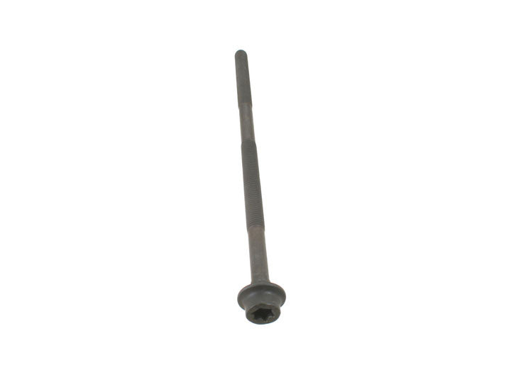 O.E.M. SCREW 10X230