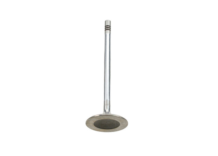 SCHOETTLE INTAKE VALVE