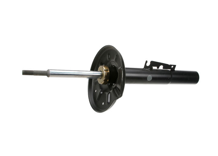 OEM  Strut Assembly