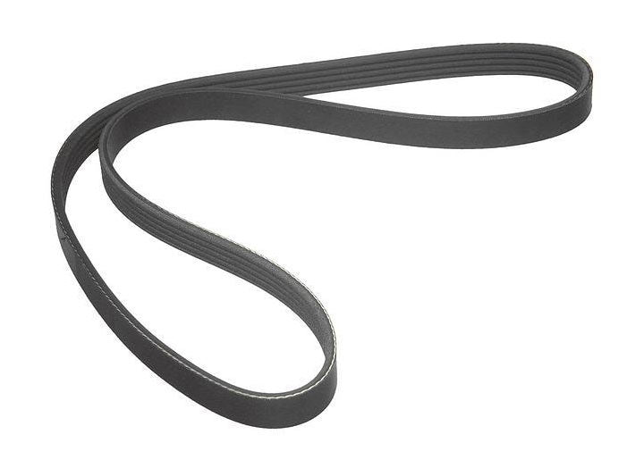 CONTITECH Alternator & A/C belt