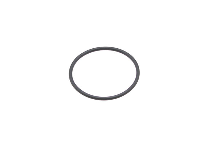 DPH O-Ring for Balance Shaft Housing