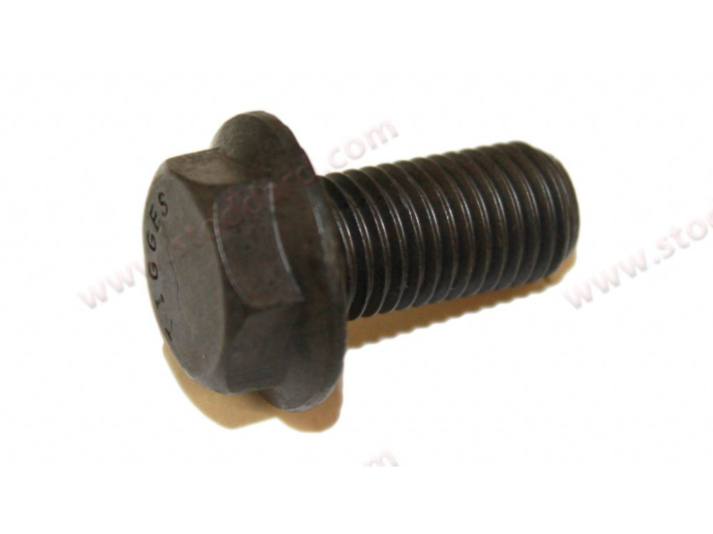 Hex Head Screw M12x25