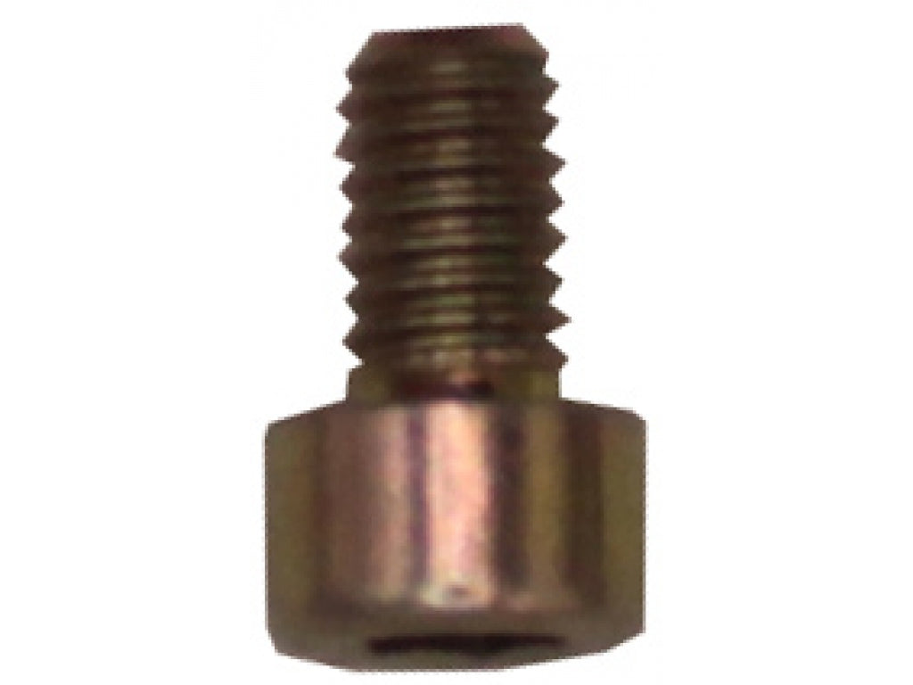PAN-HEAD SCREW (6x10 Allen)