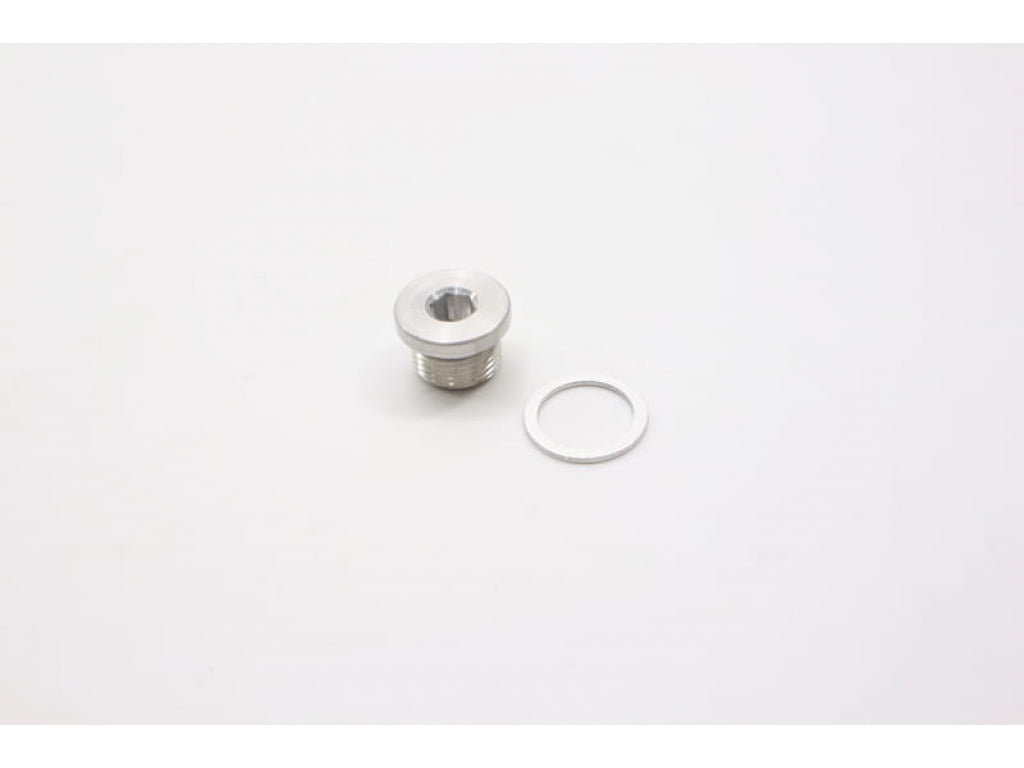 Engine oil drain plug