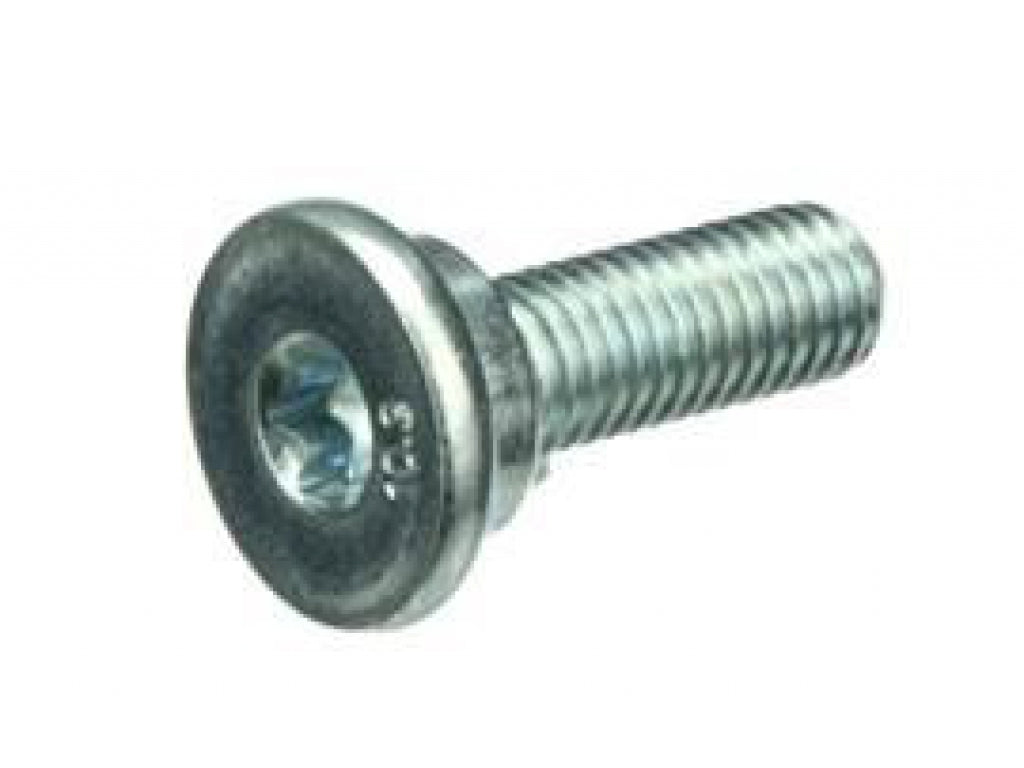 Tensioner Lever Bolt