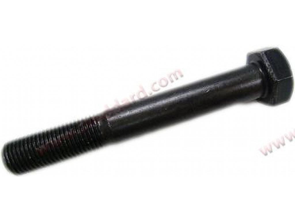 Rear Shock Bolt.