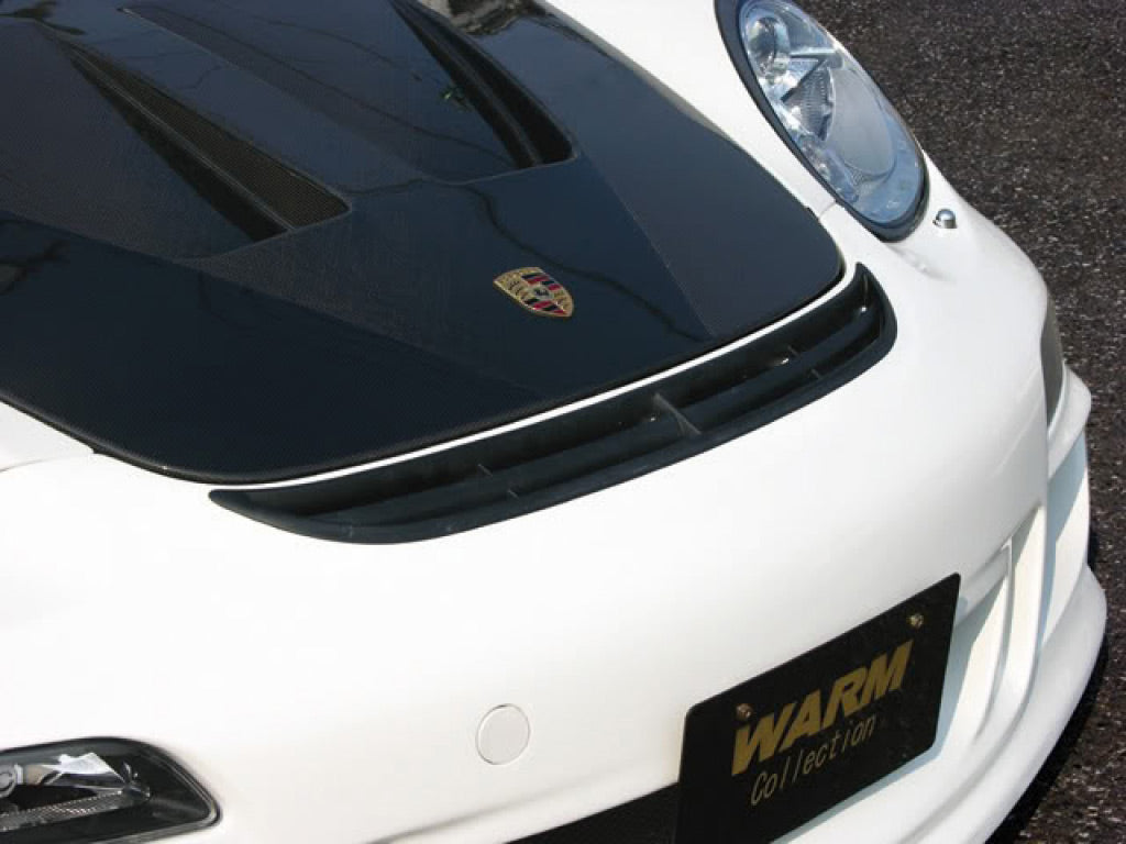 Warm Collection Carbon Aero Hood