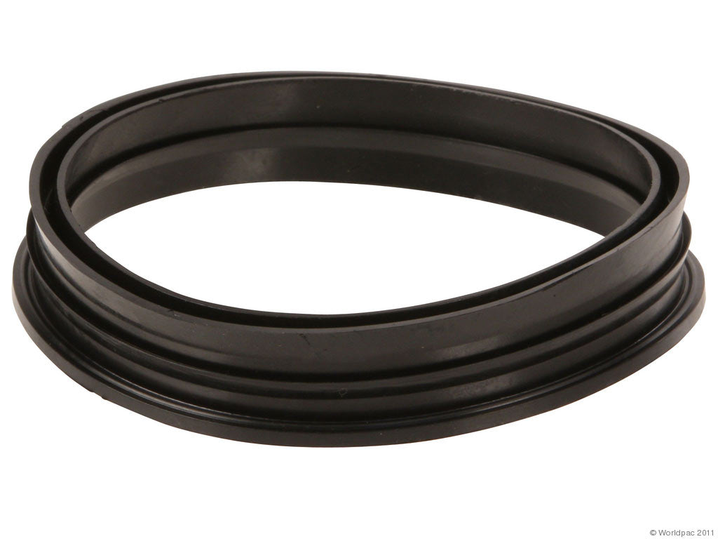 Fuel Pump Tank Seal