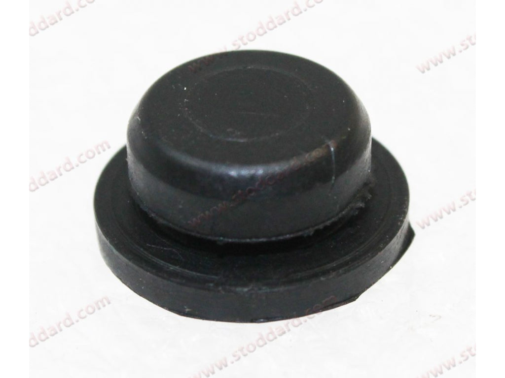 Cam Housing Plug