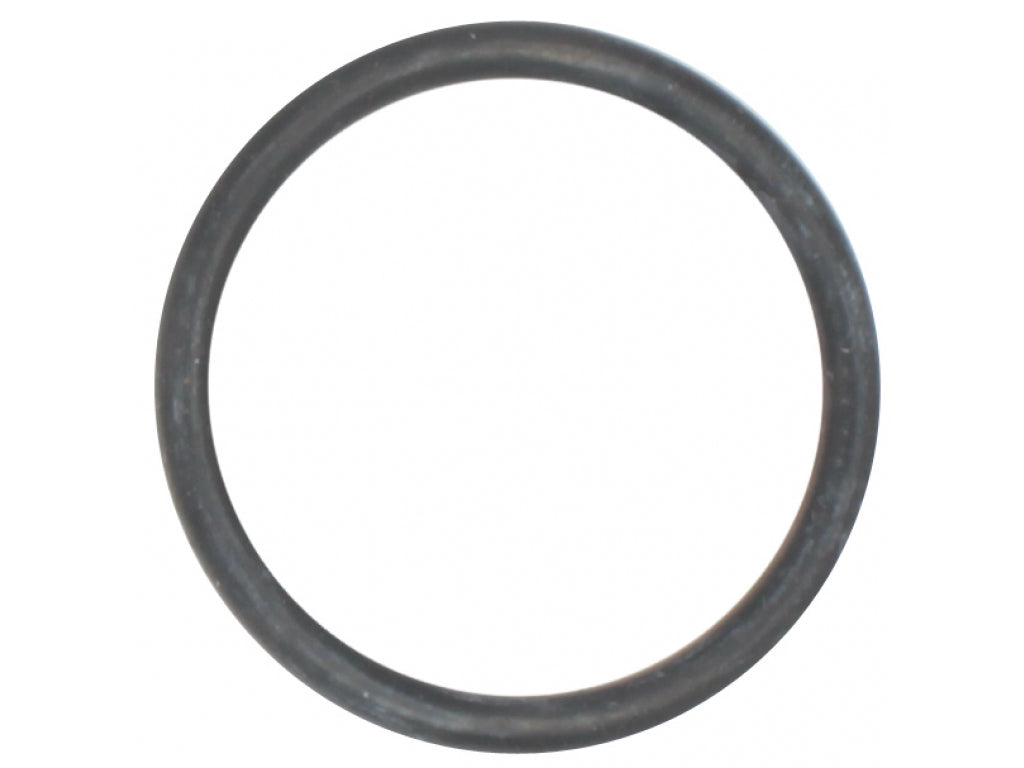 DPH Thermostat Housing Seal