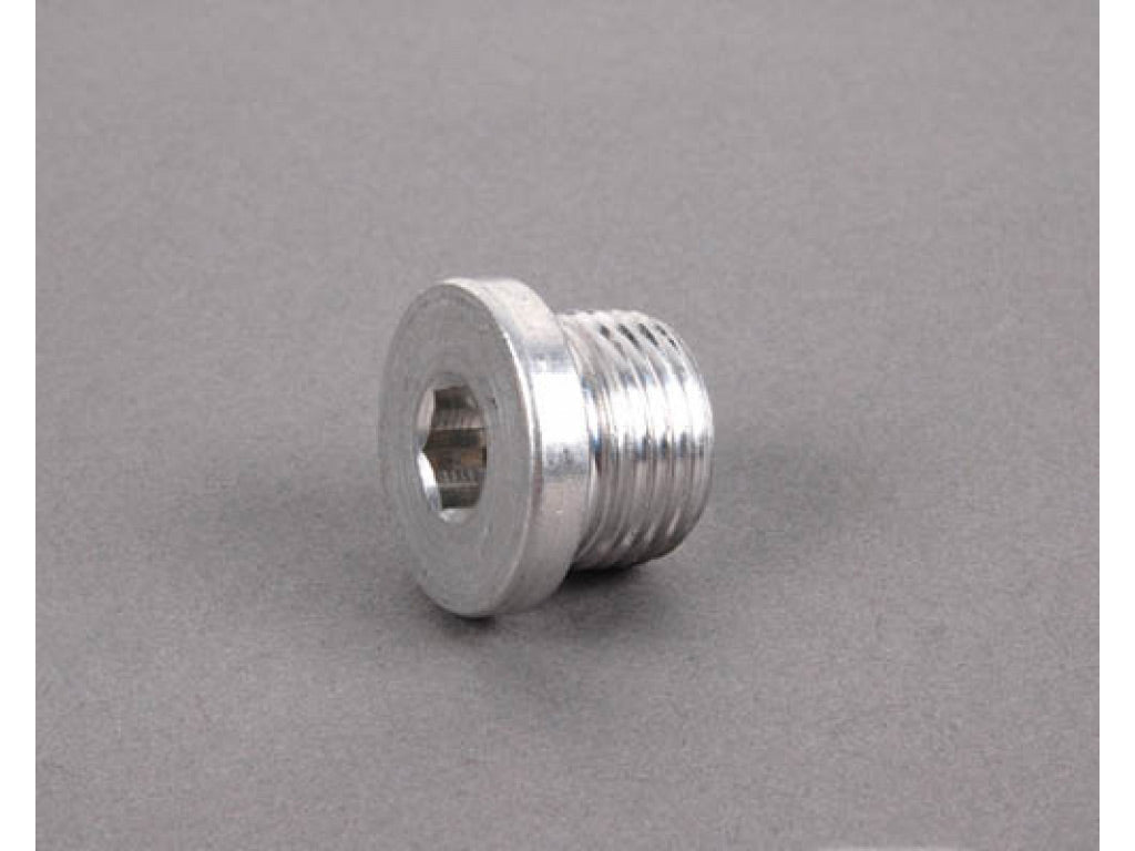 OEM Oil Drain Plug and Washer