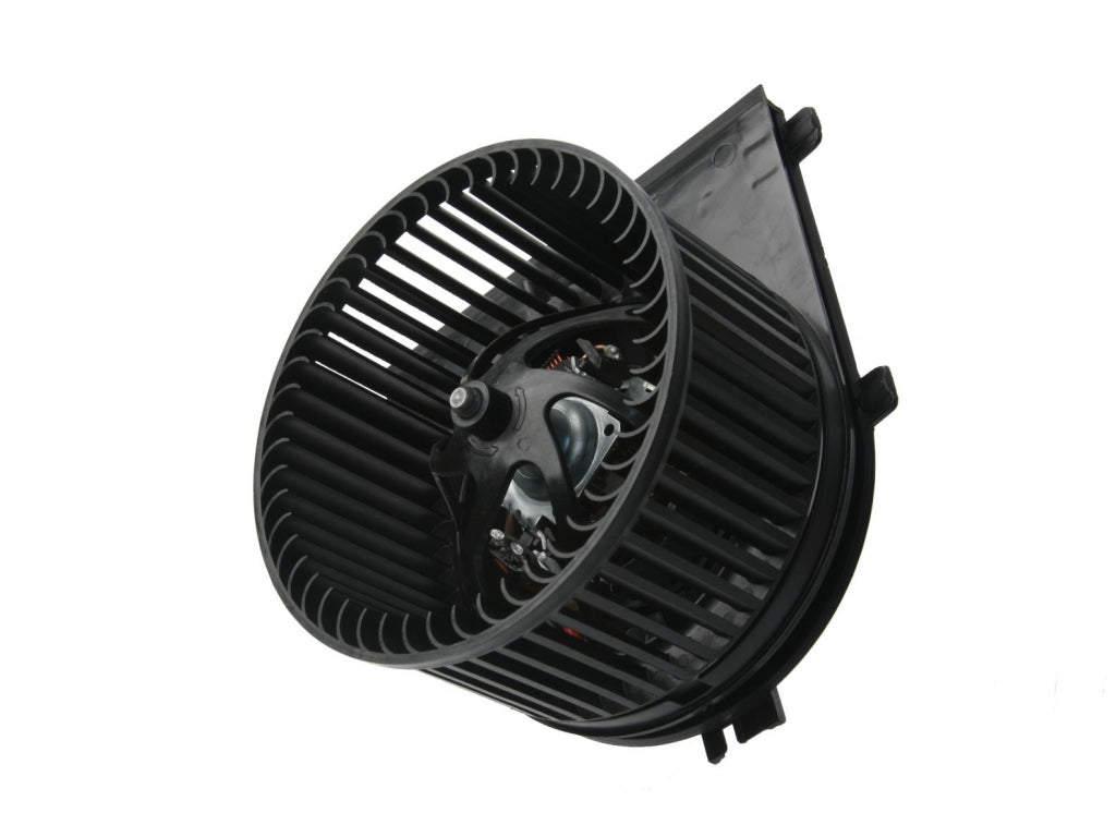 Blower Motor