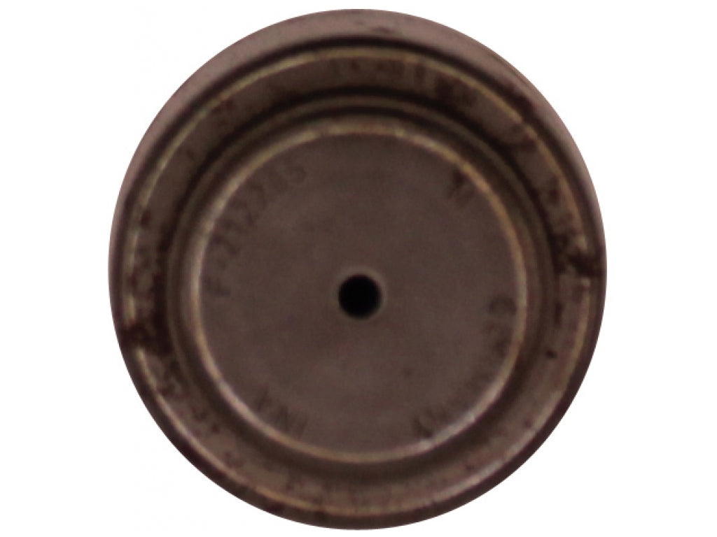 INA - POR CYL.ROLLER BEARING